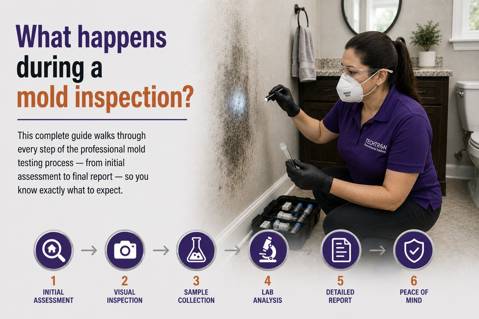 What Happens During a Mold Inspection? A Homeowner's Complete Guide