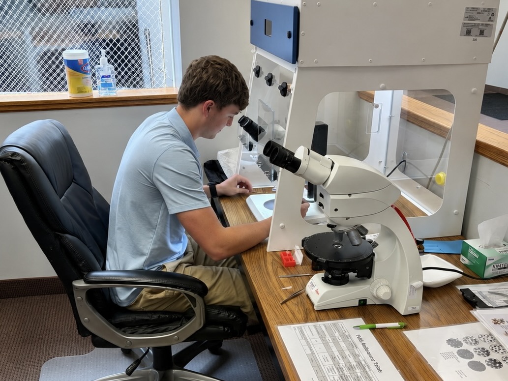 Laboratory Services